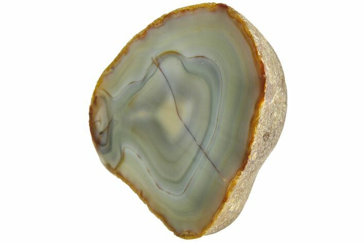 Enchanting, Polished Black River Agate - Argentina #209658